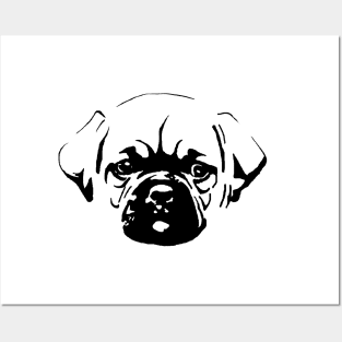 Pug Puppy Posters and Art